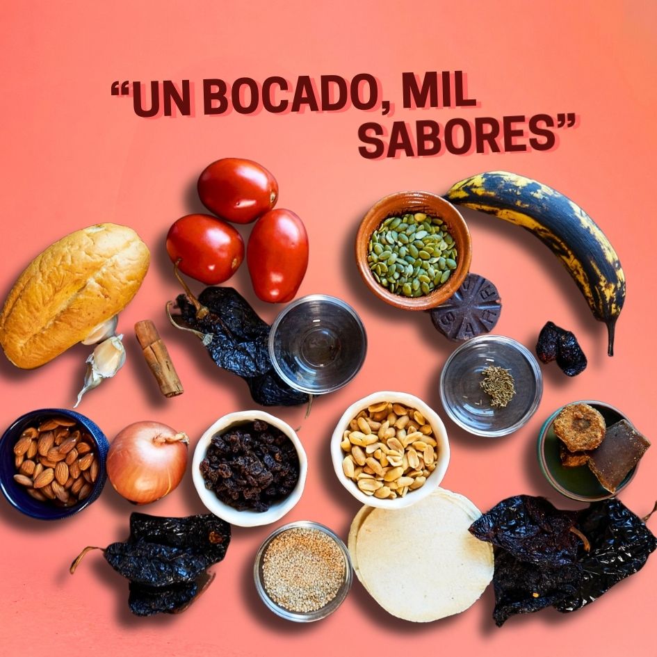 1 kg Mole Rojo en pasta.