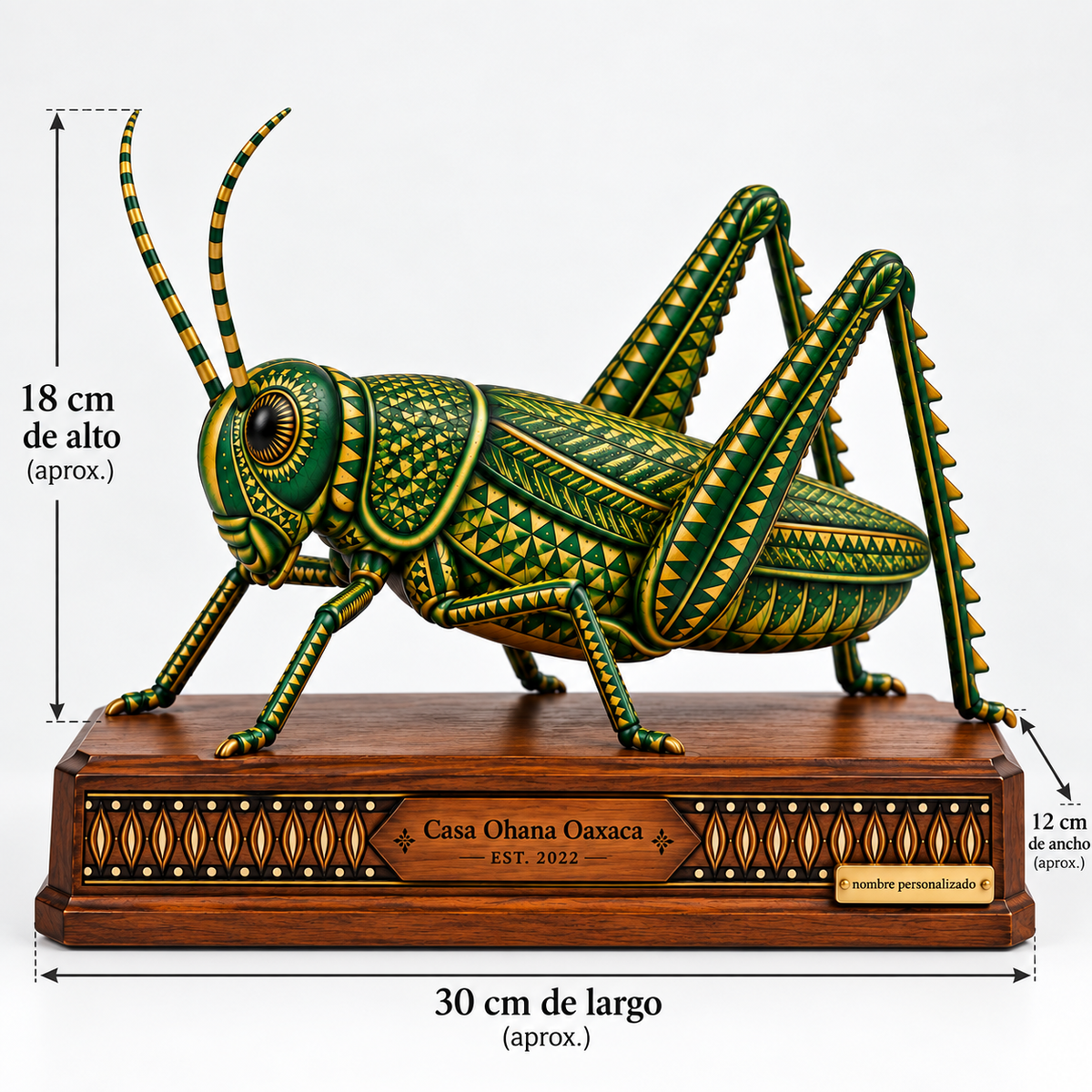 Chapulín Salto de la Milpa